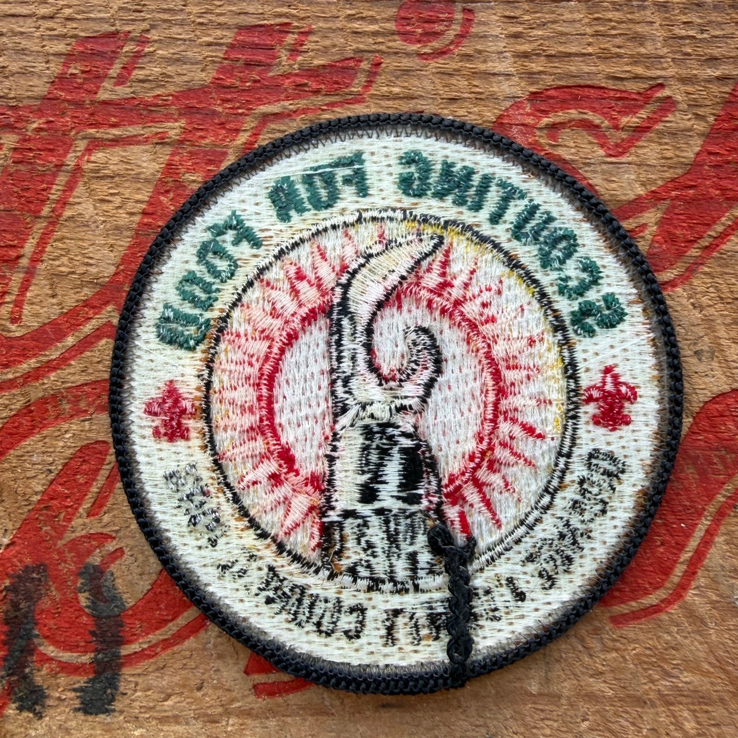 【USA vintage】Boy Scout Scouting For Food Patch