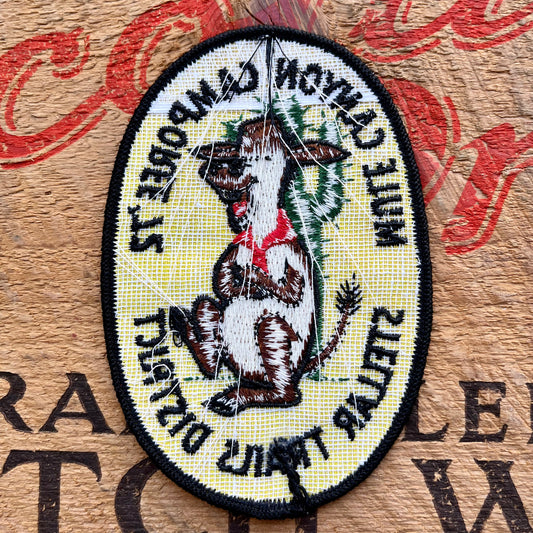 【USA vintage】Boy Scout Patch Mule Canyon Camporee