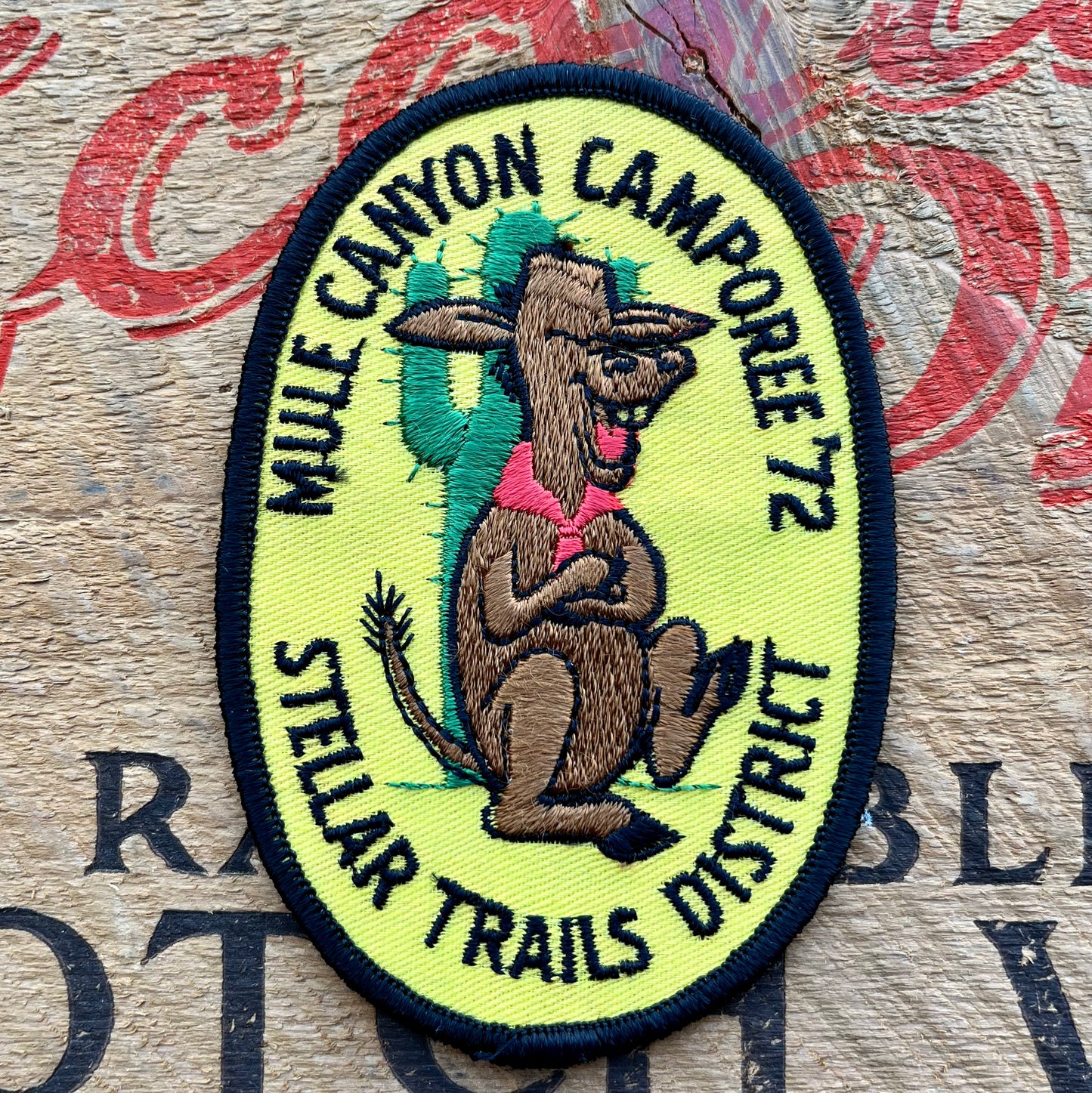 【USA vintage】Boy Scout Patch Mule Canyon Camporee