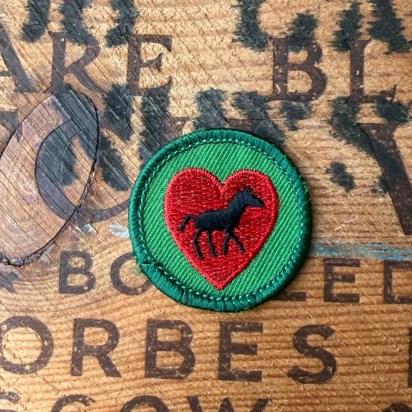 【USA vintage】Girl Scout Horse Lover Patch