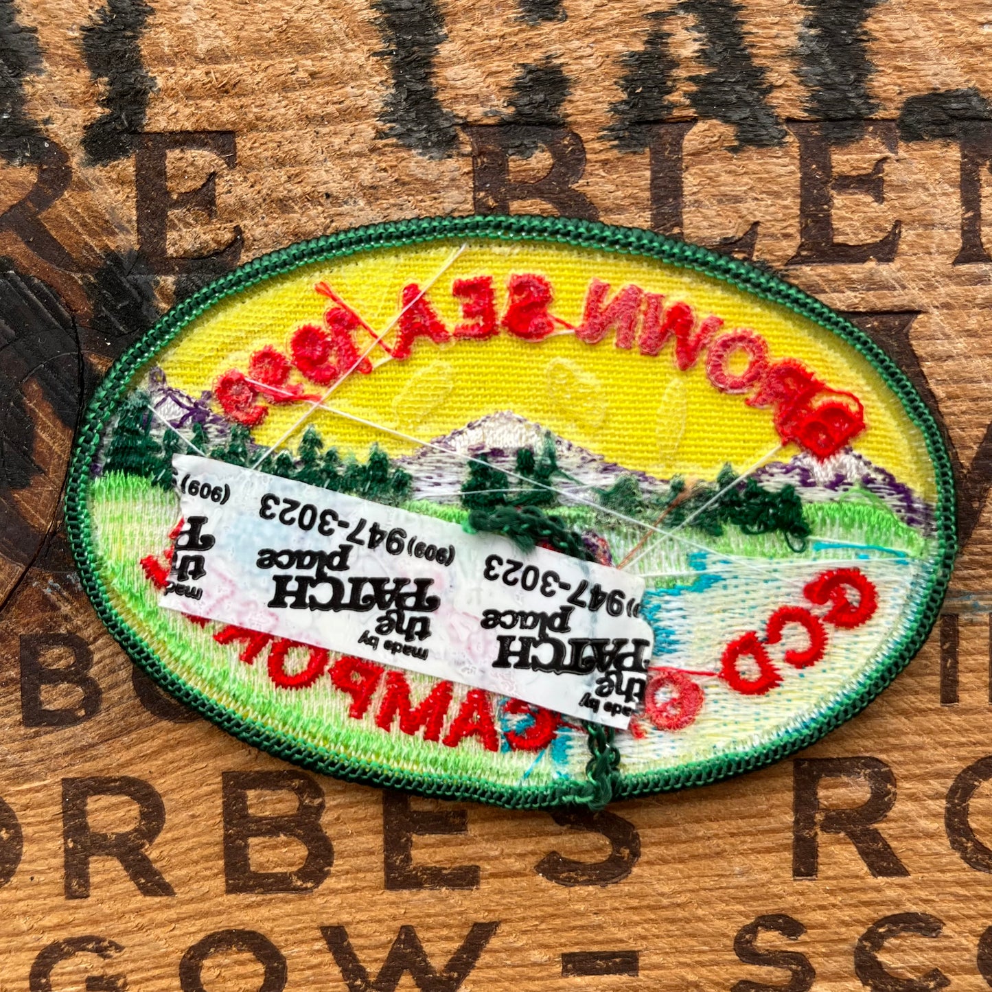 【USA vintage】Girl Scout Patch BROWN SEA 1999