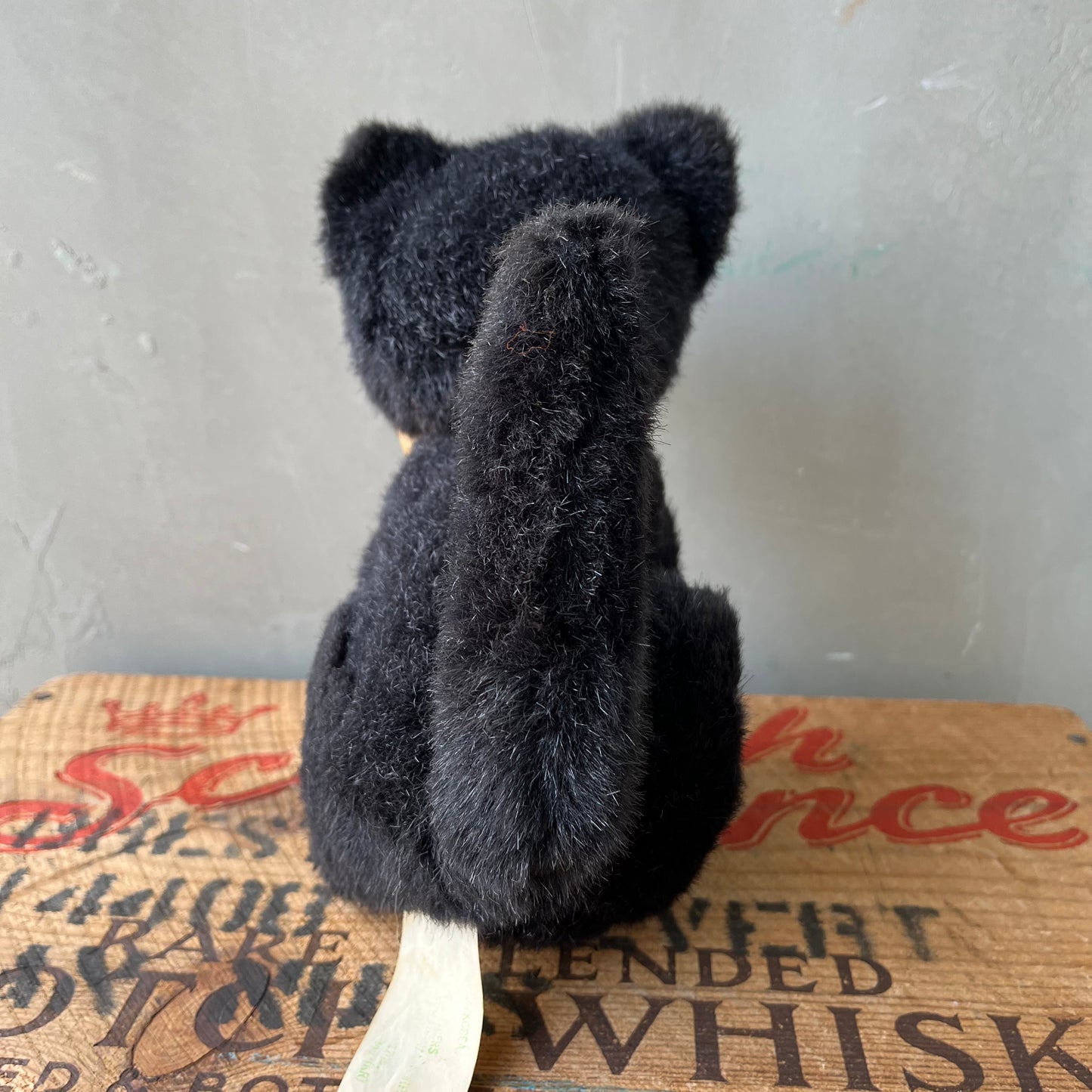 【USA vintage】Black Kitten Plash