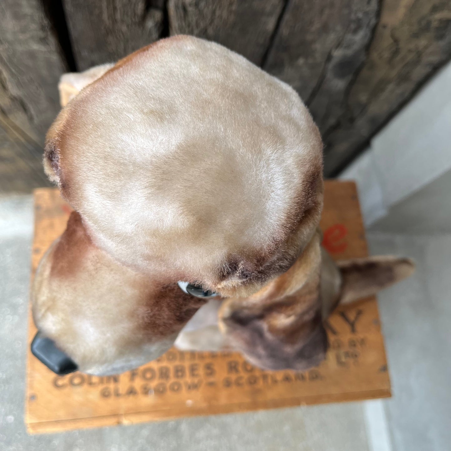 【USA vintage】60s KAMAR Plush “DROOPY”