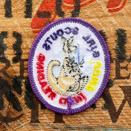 【USA vintage】Girl Scout Patch JUMP INTO READING