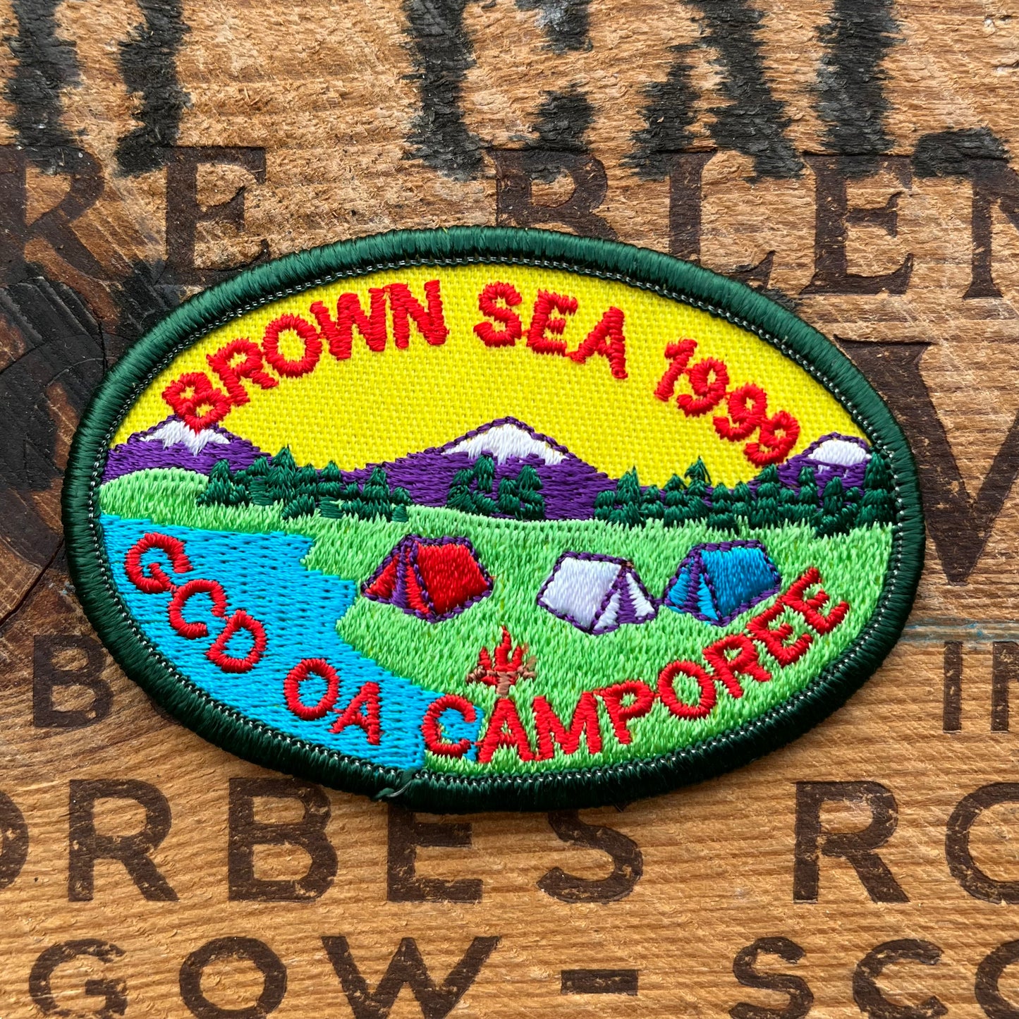 【USA vintage】Girl Scout Patch BROWN SEA 1999