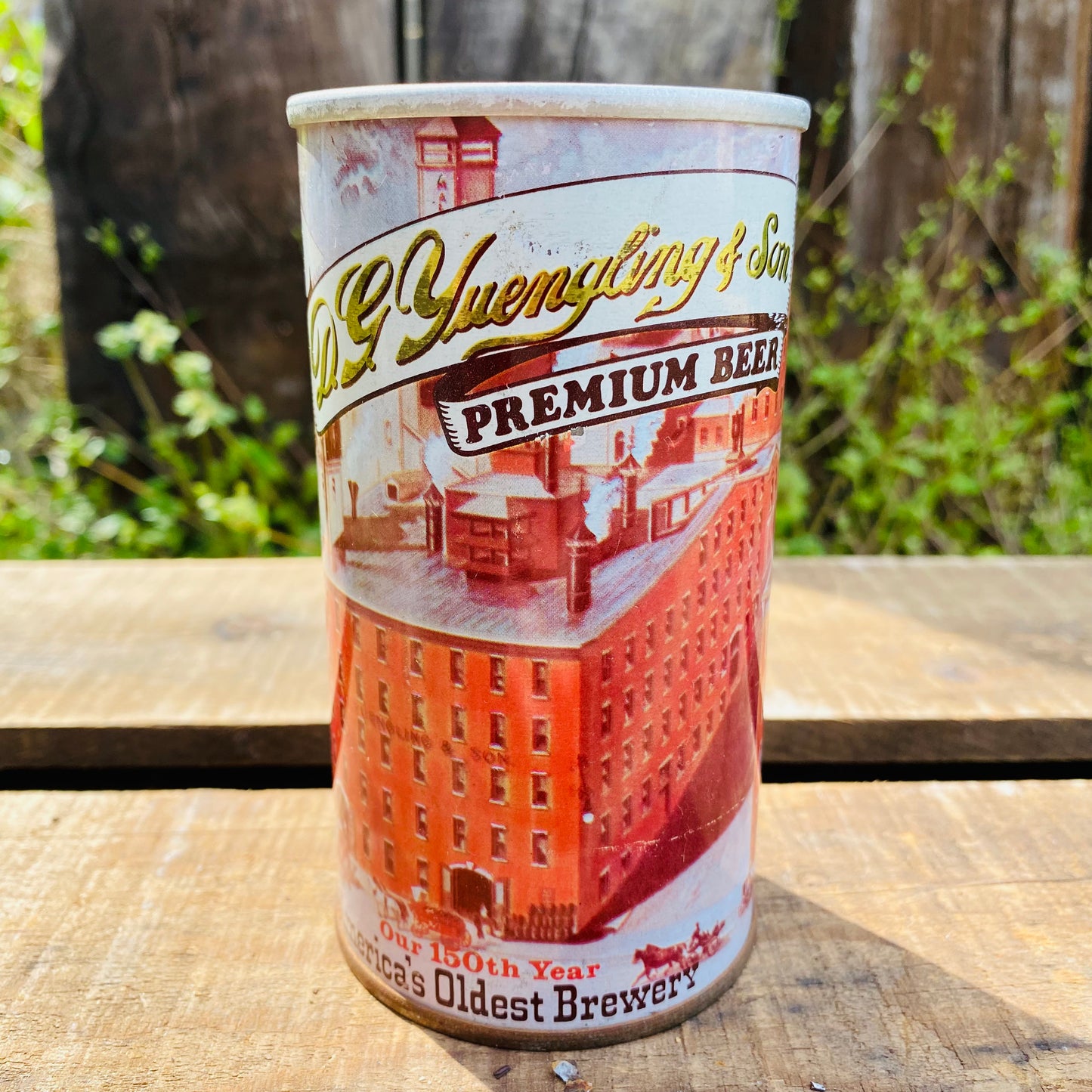 【USA vintage】yuengling beer ビール 缶