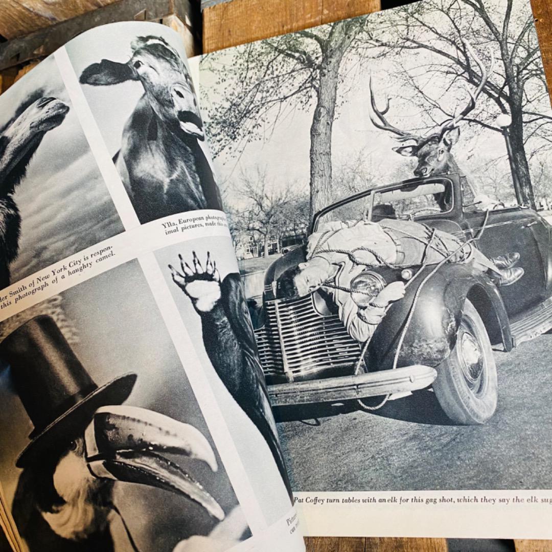 【1945 USA vintage】PHOTOGRAPHY ビンテージ雑誌①
